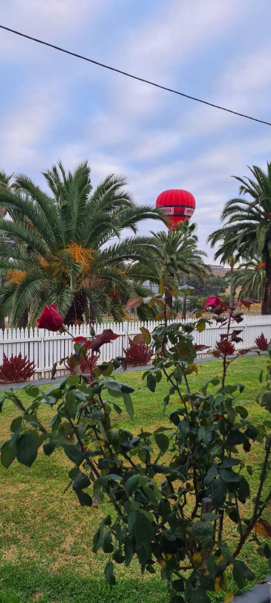 The Cottage At Seppeltsfield, Barossa Valley Bagian luar foto